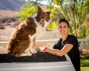 dog with handler
