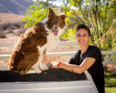 dog with handler